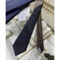 Dior Silk Neck Tie