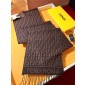 Fendi Cashmere scarf