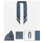 LV Shawl and scarf