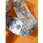 Hermes Silk Twilly 