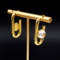 LV Earrings