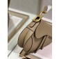 Christian Dior Mini Saddle Bag 