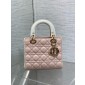 Two-tone Small Lady dior My ABCDior Bag