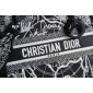 Christian Dior Medium Lady D-Lite Bag 