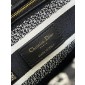 Christian Dior Medium Lady D-Lite Bag 