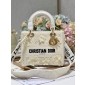 Christian Dior Medium Lady D-Lite Bag 