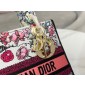 Christian Dior Medium Lady D-Lite Bag 
