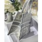 Christian Dior Small Book Tote 