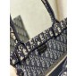 Christian Dior Large Book Tote 
