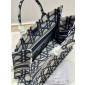 Christian Dior Large Book Tote 