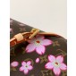 M13269 LV x TM OnTheGo PM