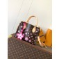 M13269 LV x TM OnTheGo PM