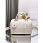 Dior Groove 25 Bag