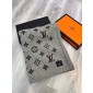 Louis Vuotton Cashere Blanket 