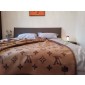 Louis Vuotton Cashere Blanket 