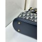 Christian Dior Medium C'est Dior Bag 