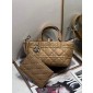 Small Dior Toujours Bag  