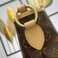 Monogram Canvas Delightful MM, M50156 Beige 