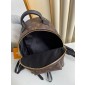 Louis Vuitton M44871 Palm Springs PM