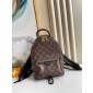 Louis Vuitton M44871 Palm Springs PM