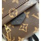 Louis Vuitton M44873 Palm Springs Mini 