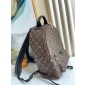 Louis Vuitton M44874 Palm Springs MM