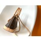Classic Monogram Canvas  Alma BB