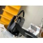 Louis Vuitton Capucines Mini