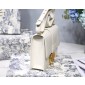 Christian Dior 30 Montaigne Bag