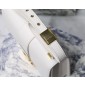 Christian Dior 30 Montaigne Bag