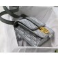 Christian Dior 30 Montaigne Bag
