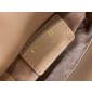 Mini Lady Dior Bag 