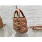 Mini Lady Dior Bag 