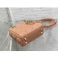 Mini Lady Dior Bag 