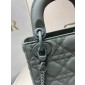 Mini Lady Dior Bag 