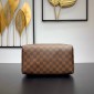 Louis Vuitton Speedy 25