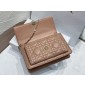 Lady Dior Chain Pouch 