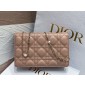 Lady Dior Chain Pouch 