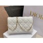 Lady Dior Chain Pouch 