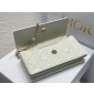 Lady Dior Top Handle Clutch 