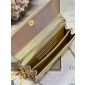 Lady Dior Top Handle Clutch 