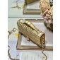 Lady Dior Top Handle Clutch 