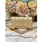 Lady Dior Top Handle Clutch 