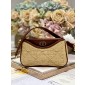 Christian Dior Hobo Anenue Mini Bag 