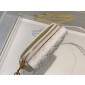 Christian Dior Caro Pouch on Chain  