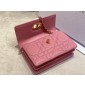 Dior Miss Mini Caro Bag 