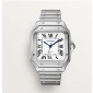 Swiss Santos De Cartier , Medio 