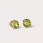 Valentino Earrings