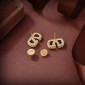 Valentino Earrings